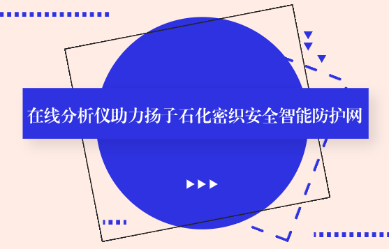 在线分析仪助力扬子石化密织安全智能防护网 在线分析仪助力扬子石化密织安全智能防护网