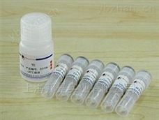 馬流產沙門氏菌PCR熒光定量檢測試劑盒