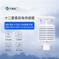 WX-Y12壓電十二要素傳感器