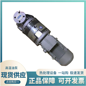齐全高温油泵 热交换系统工艺温度控制