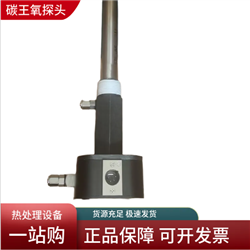 齐全碳王氧探头 氧化锆固体电解质氧探头