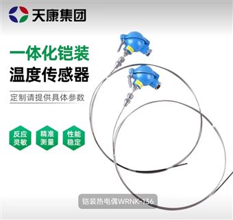 安徽天康铠装热电偶