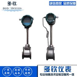 DVS廠家直供DN300壓縮空氣流量計(jì)