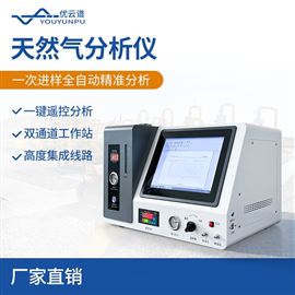 天然气分析仪