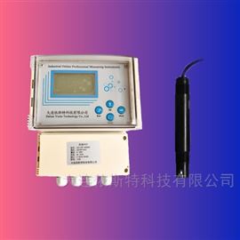 YST109B-HP880G高温高压PH计