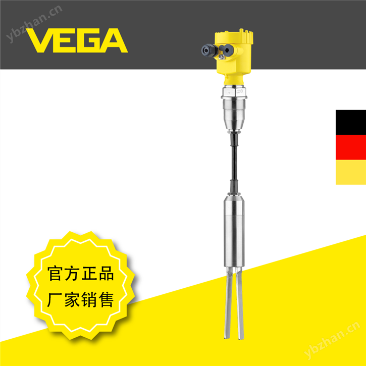 VEGAWAVE 62音叉料位開關(guān)帶延長纜