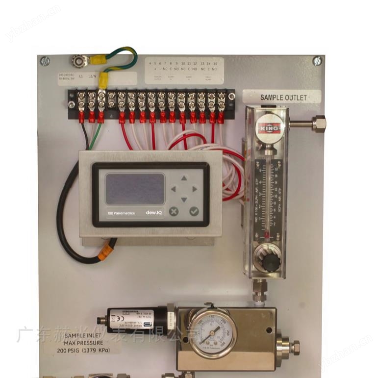 panametrics智能氣體水分分析儀