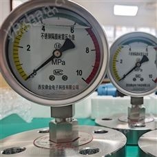 H L-Y100指针压力表