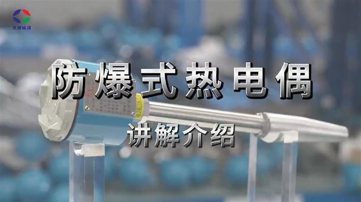 防爆热电偶讲解视频