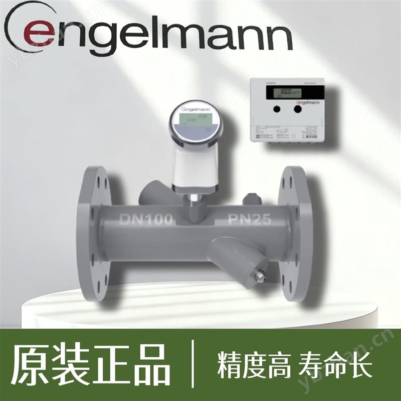 恩樂(lè)曼大口徑超聲波能量表