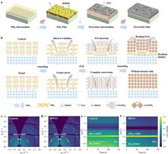 清华大学材料学院林红团队在钙钛矿太阳能电池研究领域取得新进展