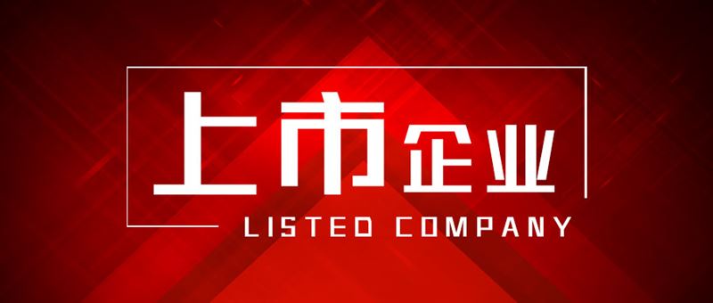 芯動聯科2025年凈利潤同比增長36.56% 擬10派1.48元