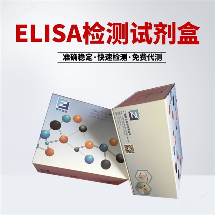 兔胱天蛋白酶11(P11)elisa檢測試劑盒規(guī)格