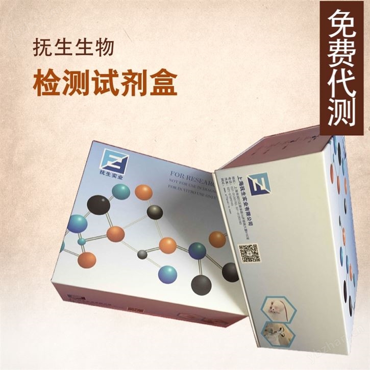 人封闭蛋白9（CLDN9）elisa检测试剂盒品牌