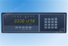 XSB9皮带秤控制器 皮带秤控制仪XSB9