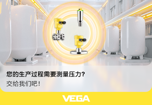 威格（中國）儀表有限公司