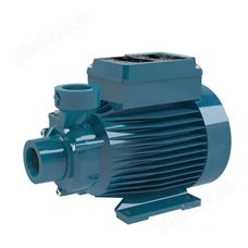 CALPEDA进口水泵MXV40-813/C 离心泵 排污泵
