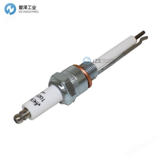 ECLIPSE點火棒10019728