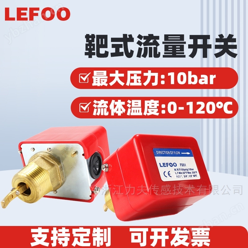 靶式流量开关