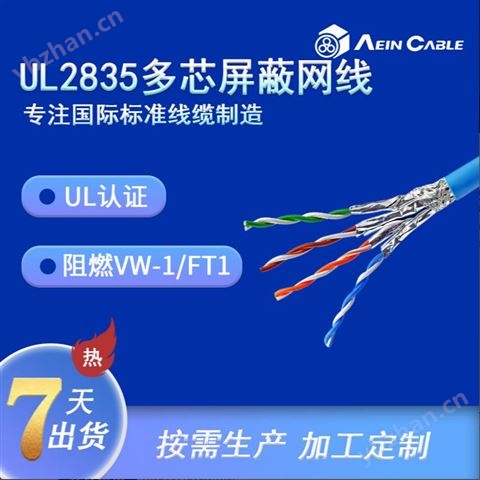 UL2835 60℃ 30V PVC网线 (非屏蔽)