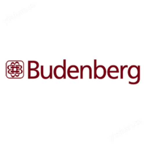 英國  Budenberg  BGH300