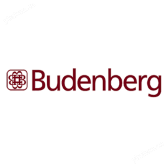 英國  Budenberg  BGP120