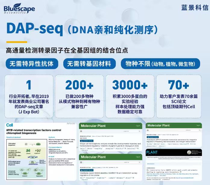 平臺發布DAP文章最后附圖.jpg DAP-seq助力揭示PagHSF4調控楊樹生長發育與耐鹽性的分子機制