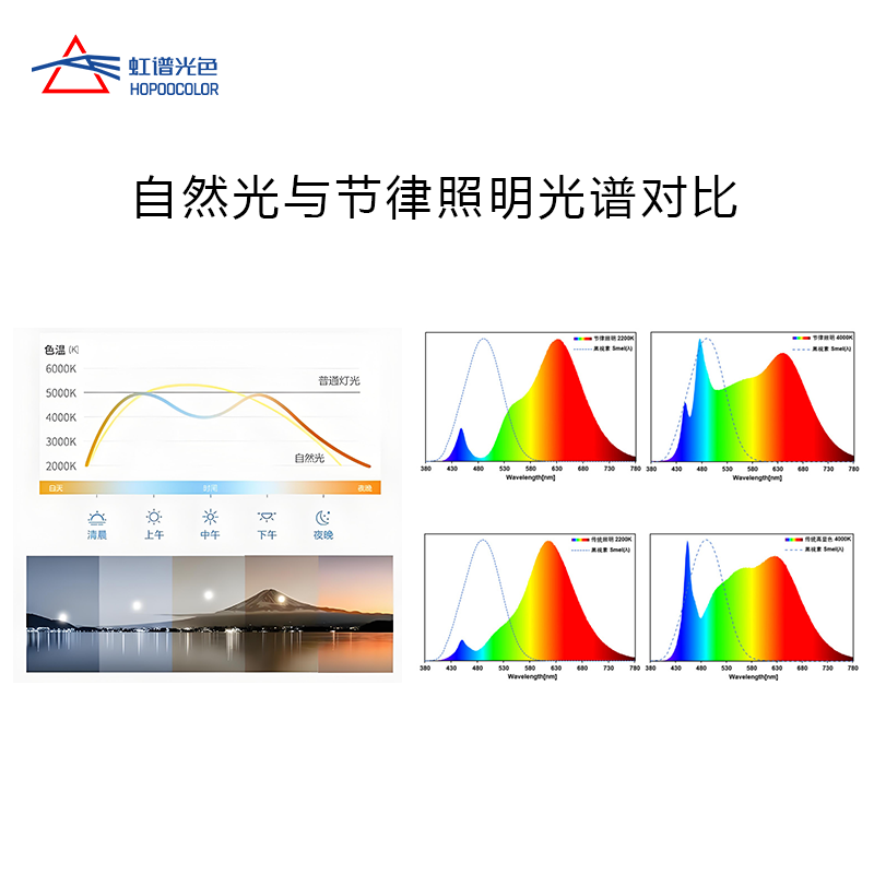 画板 7.png 画板 7.png