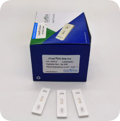 Clover Technology Group Inc. Unveils iCheck® Ochratoxin A Strip Test: A New Era in Mycotoxin Rapid Detection