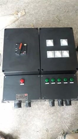 FXD-T6/K25防水防塵動力箱 配電箱/柜